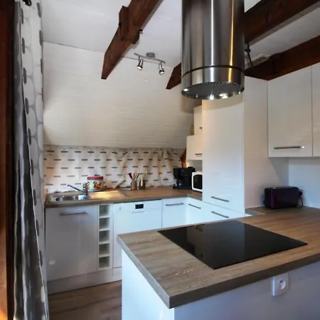 Mont-dore : Agreable Avec Wifi Pour 9 Personnes - Fr-1-608-88 Le Mont-Dore