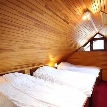 Mont-dore : Agreable Avec Wifi Pour 9 Personnes - Fr-1-608-88